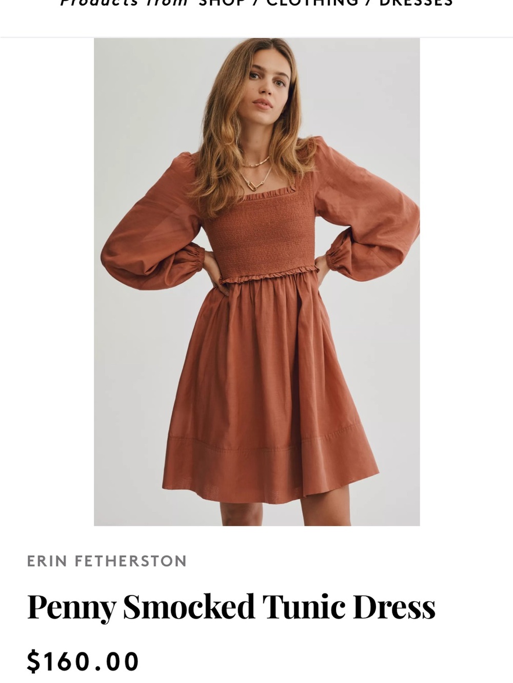 Anthropologie Penny Smocked tunic Dress